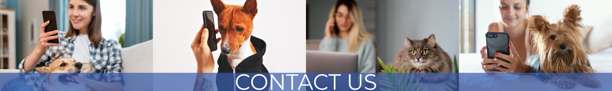 Contact Us