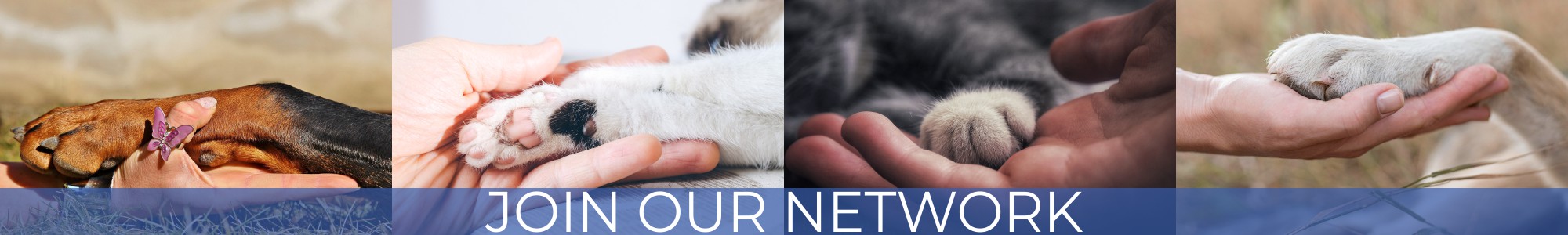 Join Our Network