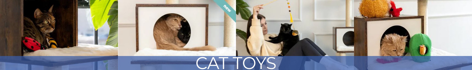 Cat Toys