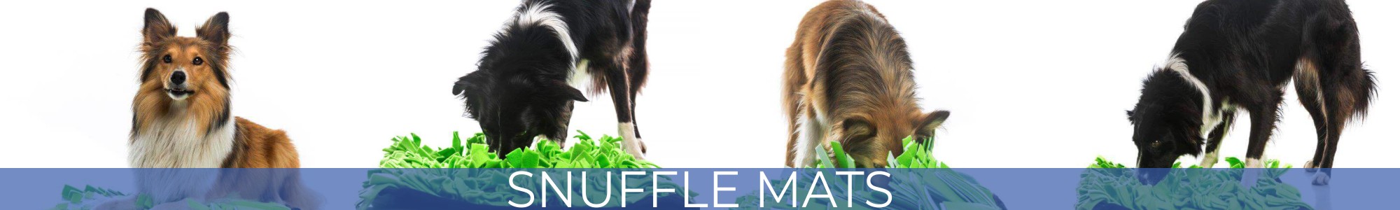 Snuffle Mats