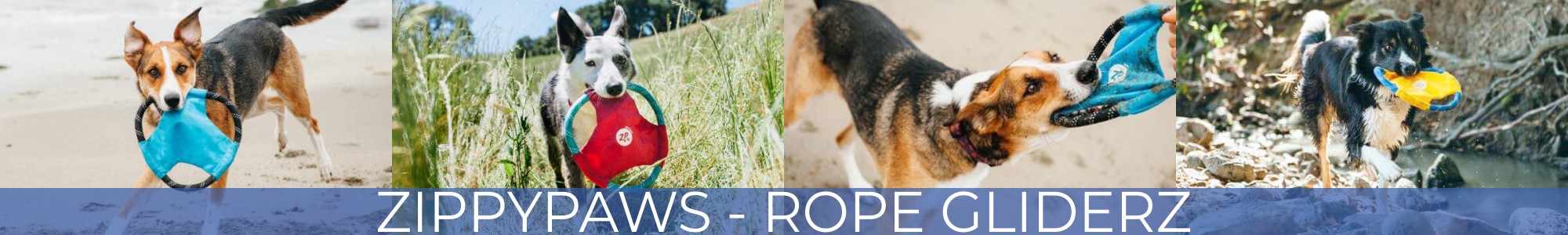 Zippy Paws Rope Gliderz