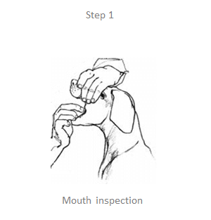 choking step1