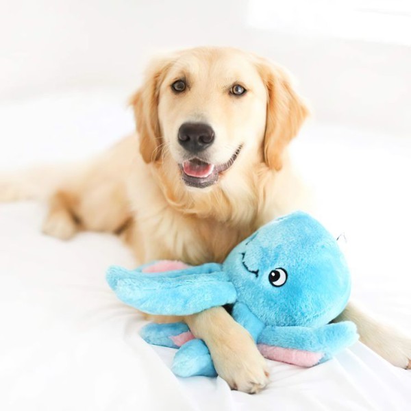 ZippyPaws Plush Toys