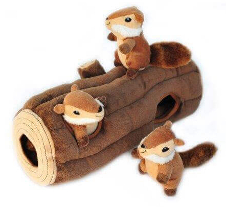 burrow chipmunks