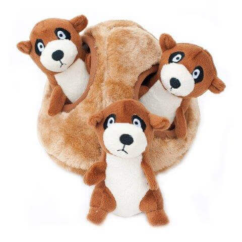 burrow meerkat den