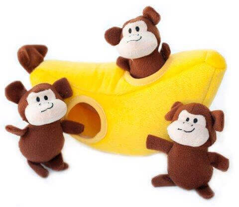 burrow monkeys