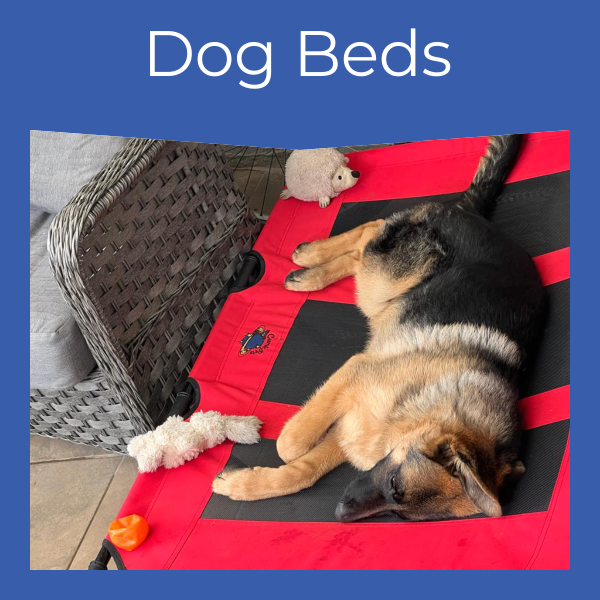 Dog Beds