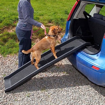 ramp car