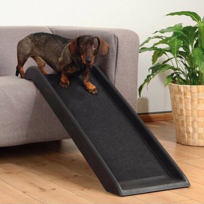 ramp car