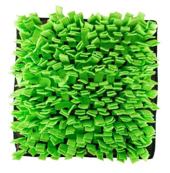 snuffle mat green top